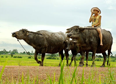 Làng quê. Ảnh minh họa.